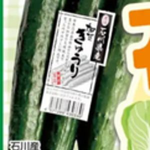 きゅうり