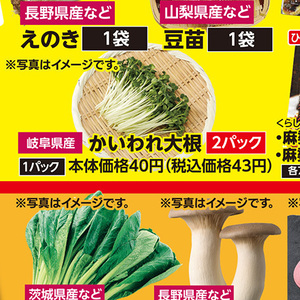 カイワレ大根