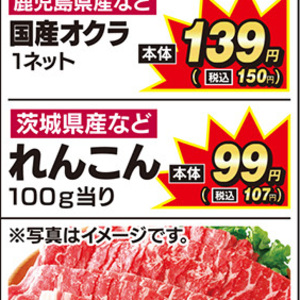 レンコン