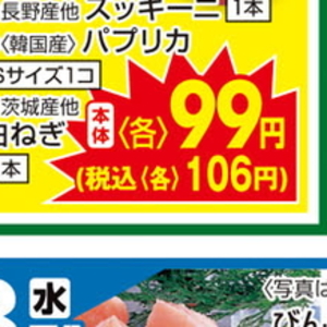 ながねぎ