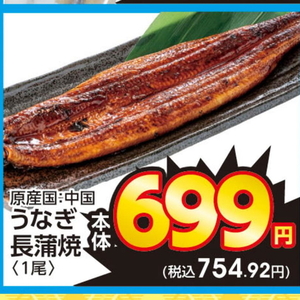 うなぎの蒲焼き