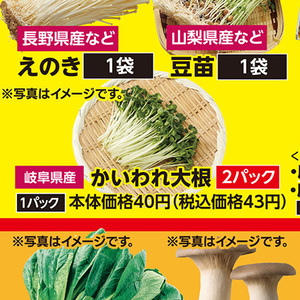 カイワレ大根