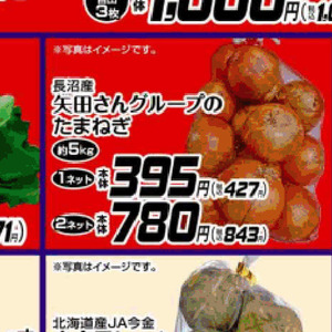たまねぎ