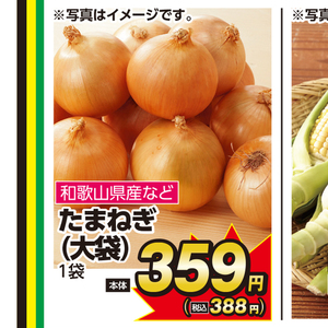 たまねぎ