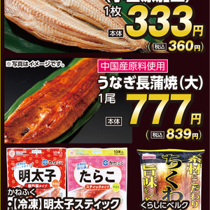 うなぎの蒲焼き