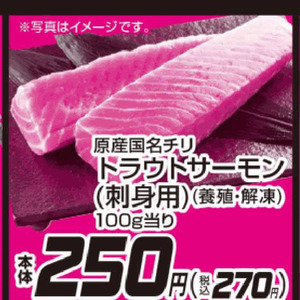 サーモン（刺身）