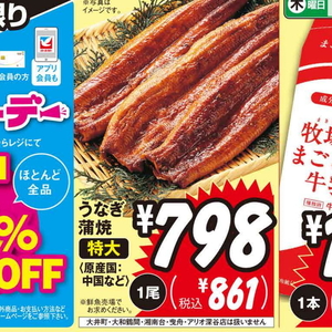 うなぎの蒲焼き
