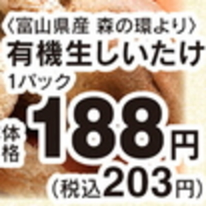 しいたけ