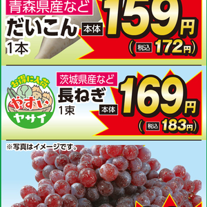 ながねぎ