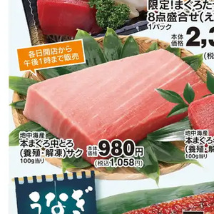 まぐろ中とろ