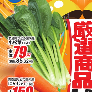 こまつ菜