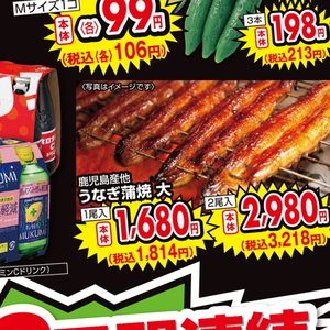 うなぎの蒲焼き