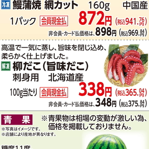 たこ（刺身）