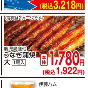 うなぎの蒲焼き
