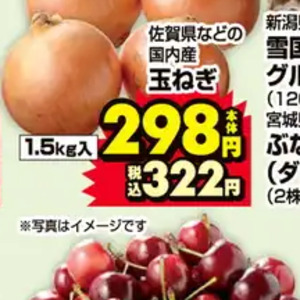 たまねぎ