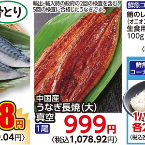 うなぎの蒲焼き