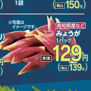 みょうが