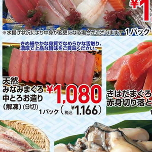 まぐろ中とろ