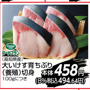 ぶり（切り身）