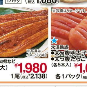 うなぎの蒲焼き