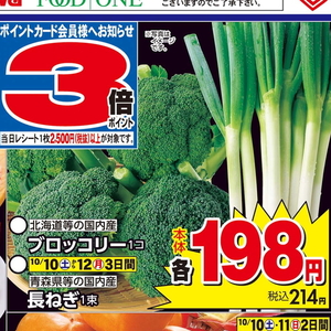 ながねぎ