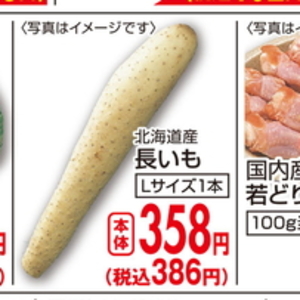 ながいも