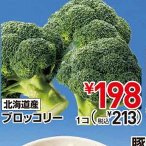 ブロッコリー