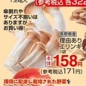 エリンギ