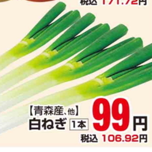 ながねぎ