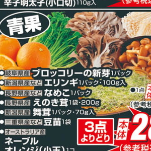 ブロッコリースプラウト