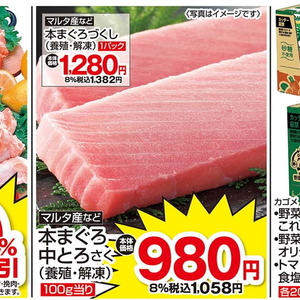 まぐろ中とろ