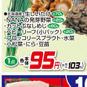 こまつ菜