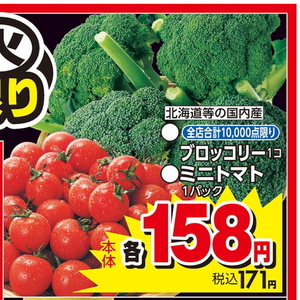 ブロッコリー