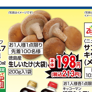 しいたけ