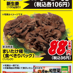 まいたけ