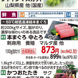 まぐろ中とろ