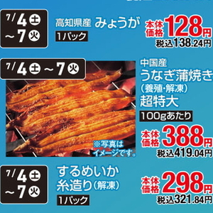 うなぎの蒲焼き