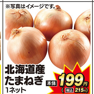 たまねぎ