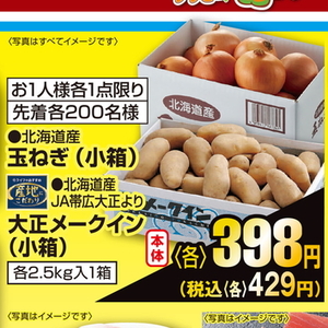 たまねぎ