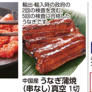 うなぎの蒲焼き