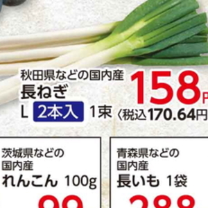 ながねぎ