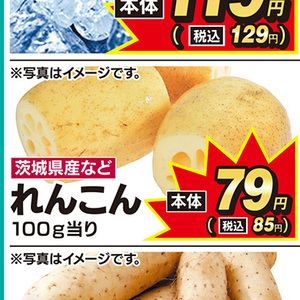 レンコン