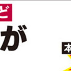 みょうが
