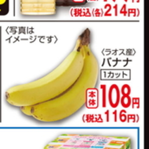 まぐろ赤身