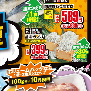 しらす