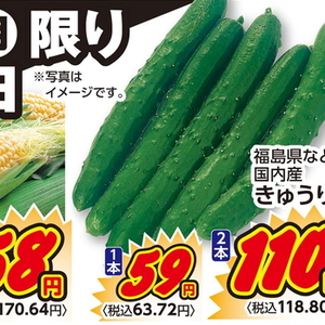 きゅうり