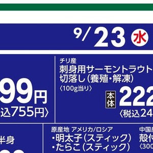 まぐろ赤身