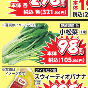 こまつ菜