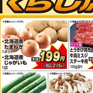 たまねぎ