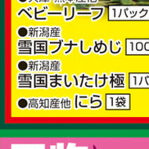 まいたけ